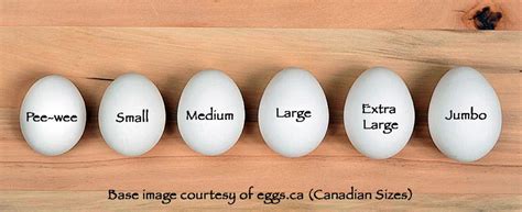 Egg Size And Weight An International Guide With Egg Size Comparison Chart
