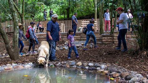 DogPark el primer parque ecológico para perros en Guatemala