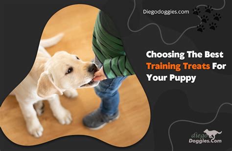 Choosing The Best Training Treats For Your Puppy