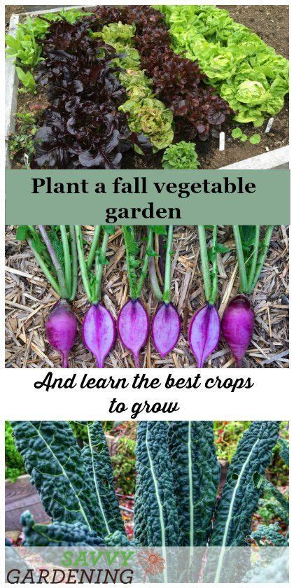 Plant A Fall Vegetable Garden For An Extended Harvest Artofit