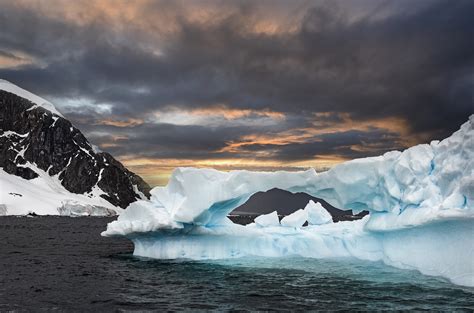 Recent Images - Antarctica 2023 — Alan Spitzer Photography