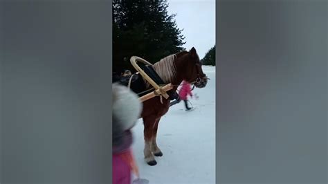 Дача Деда Мороза🎅🎅🎅 - YouTube