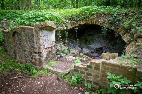 Opuszczony cmentarz ewangelicki w Murowanej Goślinie Park