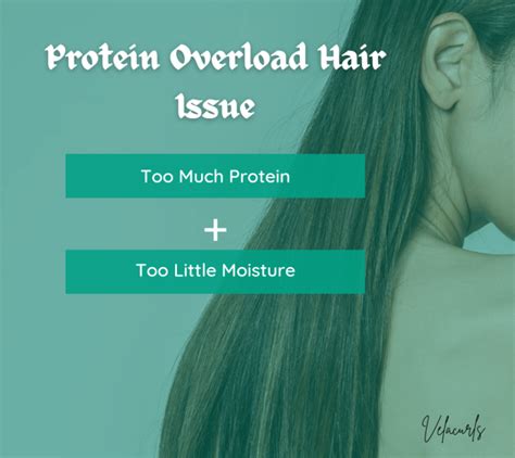 Protein Overload Hair Issue 8 Expert Ways To Solve Velacurls