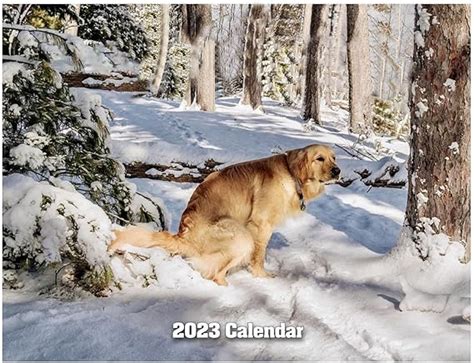 Kackender Hund Kalender X Lustiger Kalender Hundekot