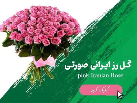 گل رز ایرانی عمده و تک شاخه ای با قیمت ارزان پخش عمده