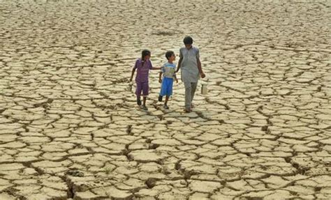 Maharashtra Govt Declares 151 More Talukas Drought Hit Nashik