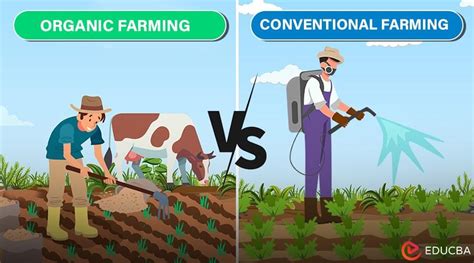 Organic Farming vs. Conventional Farming: Which's Better?