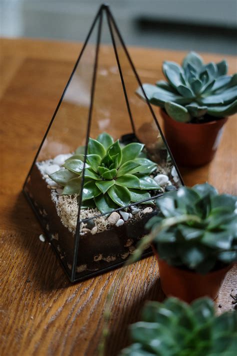 Terrarios Para Plantas Jardines Casa