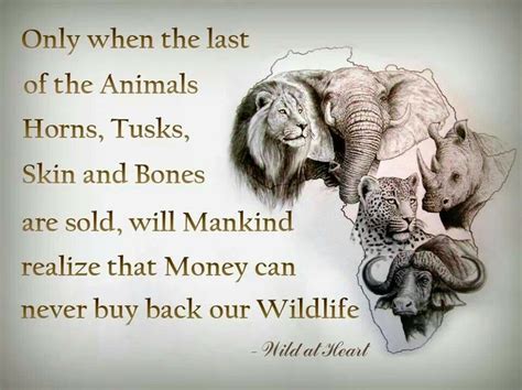 Quotes About Protect Wildlife 31 Quotes