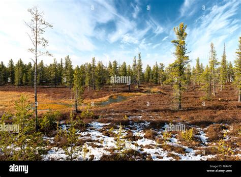 Siberia Landscape Hi Res Stock Photography And Images Alamy