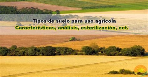 Qu Tipo De Suelo Es El M S Adecuado Para La Agricultura Mejor Tipo