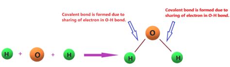 Is H2o Ionic Or Covalent Or Both What Type Of Bond Present In Water