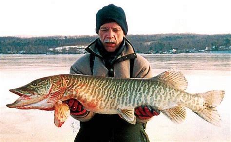 World Record Tiger Muskie