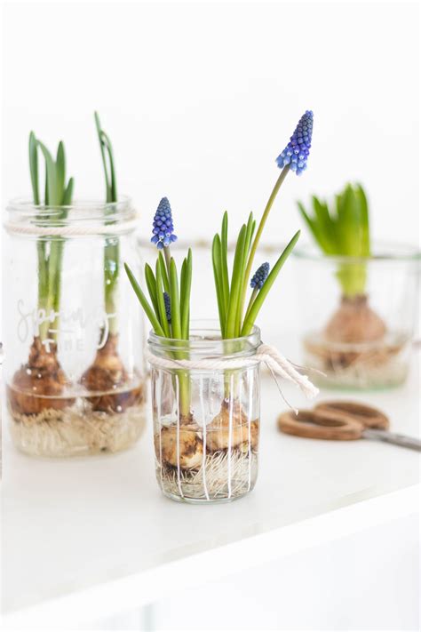 Fr Hlingsdeko Im Glas Dekoidee Mit Blumen