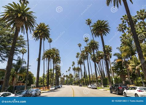 Beverly Drive Beverly Hills California United States Of America