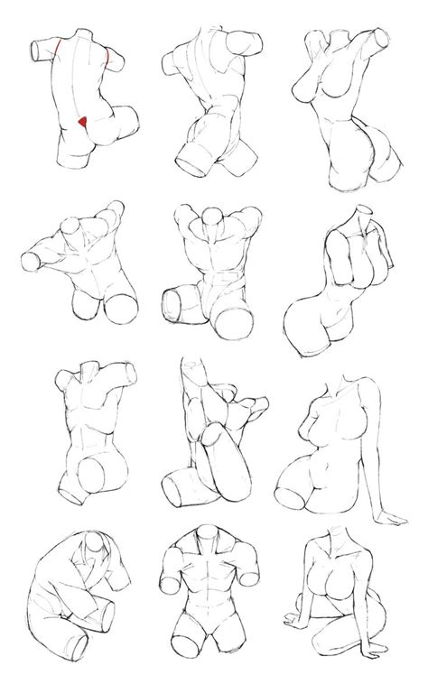 Pin By Glen Salomon On Art Reference Art Tutorials Drawing Art Reference Human Anatomy Art