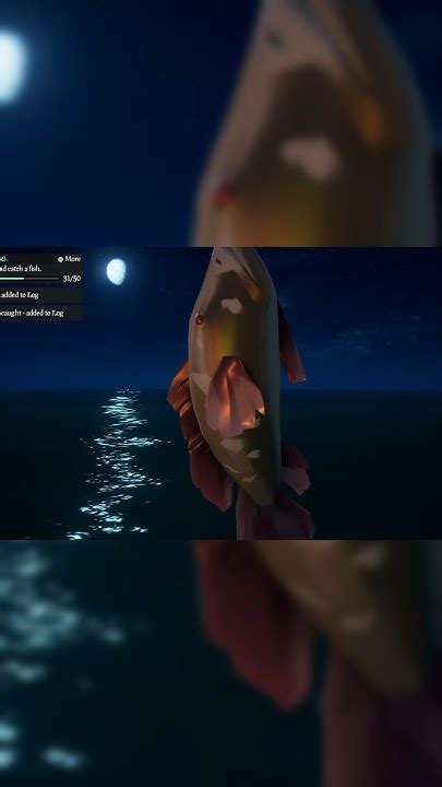 omg    trophy umber splashtail seaofthieves pirates autism