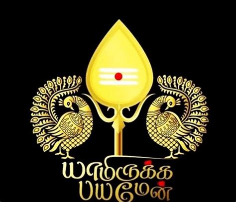 Pin by chandraSekar on Lord மரகன Lord murugan wallpapers Lord