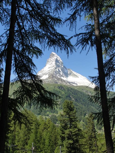 Simply Susan: Alpine Gardens of Switzerland