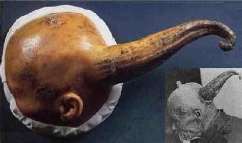 Humans With Horns Myth or Reality? Truth is Stranger Than Fiction. | Archaeological discoveries ...