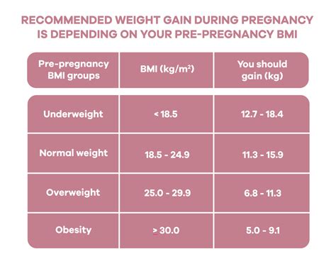 Healthy Weight Gain In Pregnancy BabyBelly Nutrition