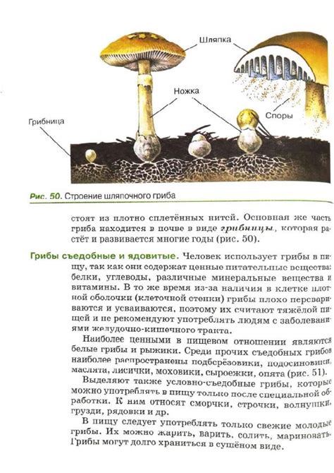 Читать учебник биология 5 класс Пасечник 2021 онлайн » Фотография 32663