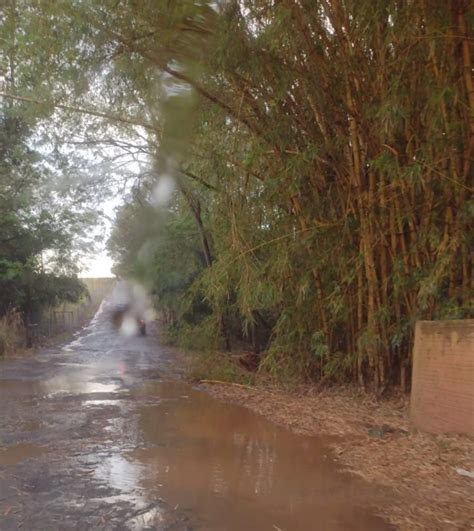 Moradores de Carlópolis reclamam de situação precária de estrada