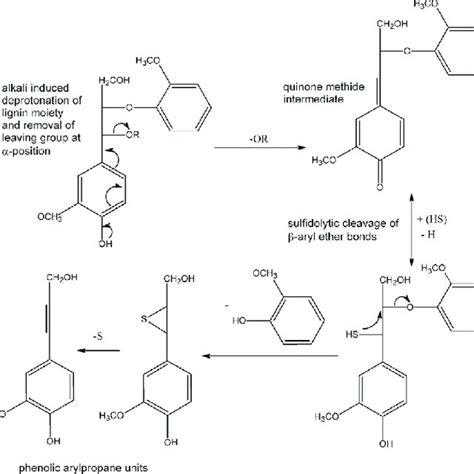 Structure Of Native Lignin With Description Of The Most Common Bonds