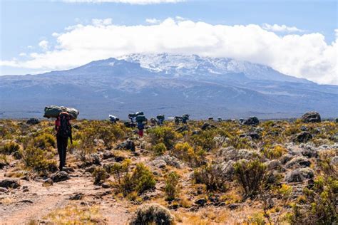 Mount Kilimanjaro deaths - Laba Africa Expeditions