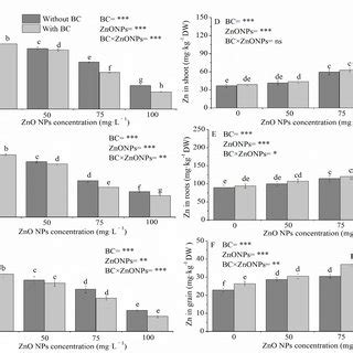 Effects Of Foliar Applied Zno Nps Alone And Combined With Bamboo