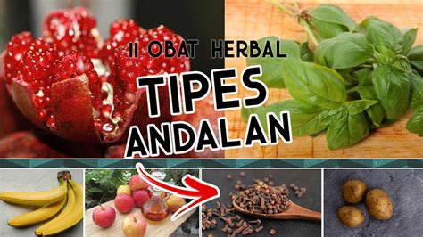 Obat Tipes Alami Andalkan Herbal Mujarab Youtube