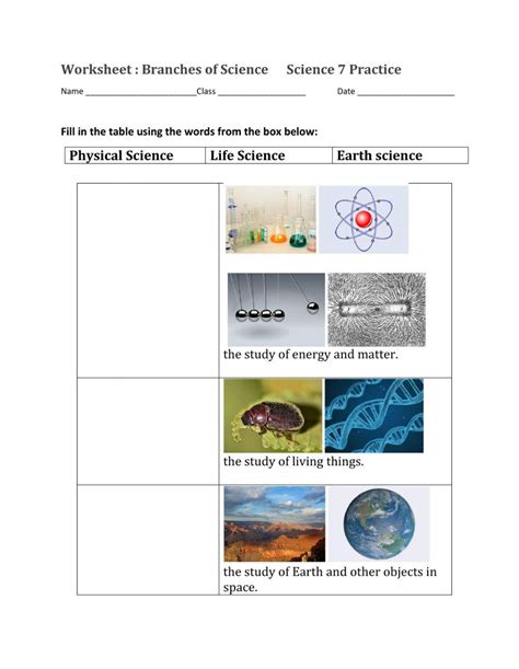 Science Branches Worksheet Live Worksheets Worksheets Library