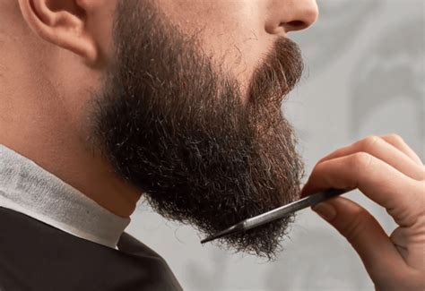 Consejos Para Dejarse Barba El Blog De Mr Barbero