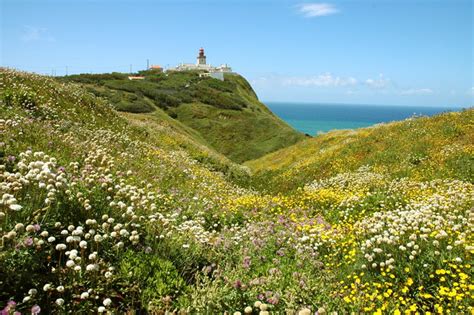 Parque Natural Sintra Cascais Sintra Guia Para Visitar Em 2023 OGuia