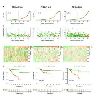 Construction And Validation Of FAMGs Based Risk Signature In TCGA Train