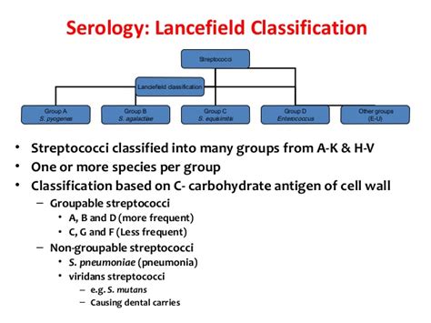 Classification Of Streptococcus Online Science Notes