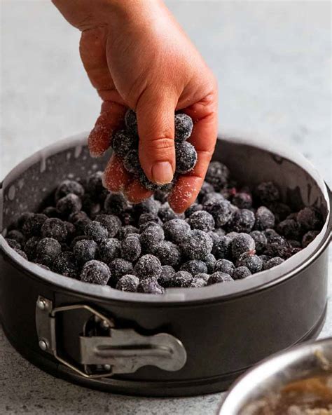 Bursting Blueberry Crumb Cake Food Crazies