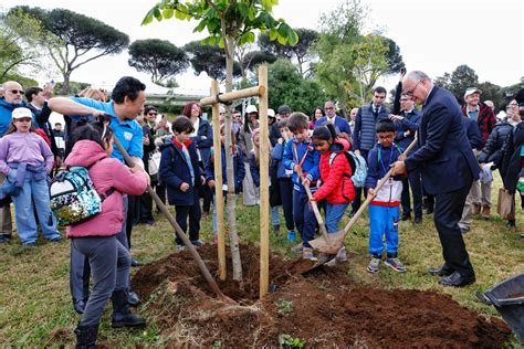 Roma A Villa Pamphilj La Messa A Dimora Di Nuovi Alberi Radio Colonna