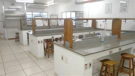 Laborat Rios Did Ticos Instituto De Biodiversidade E Sustentabilidade