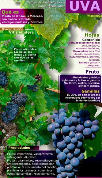 Infograf As Interesantes Sobre Uvas Aprende De Vinos