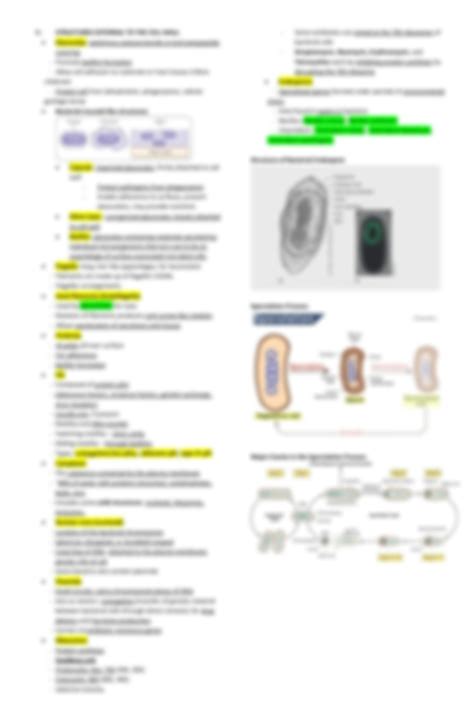 Solution Microbial Cell Structure Studypool