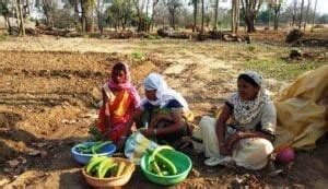 Bumper Crop Of Women Farmers Emerges In India The Tennessee Tribune