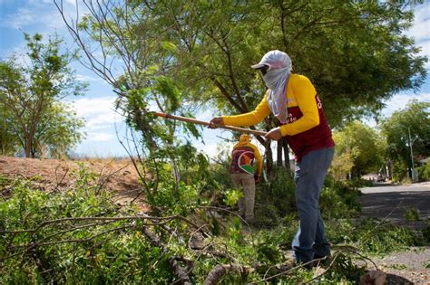 Mantenimiento De Reas Verdes En Hacienda Del R O