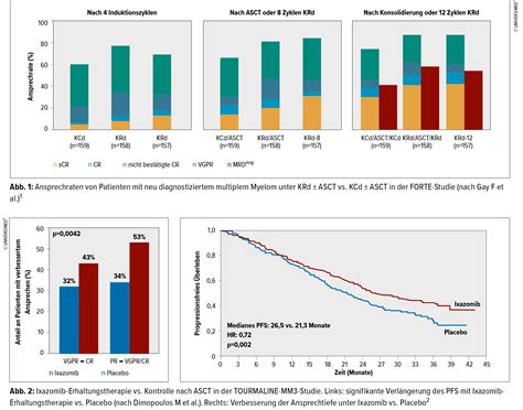 Knapp Abstracts Zum Multiplen Myelom Am Ash Onkologie