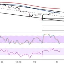 WTI Crude Oil Price Analysis For Nov 23 2022 Energy EXCH