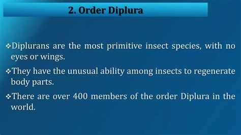 Insects classification | PPT