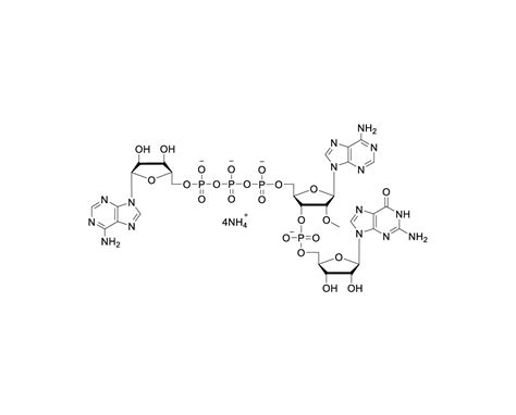 CAP A 5 Ppp 5 2 OMeA PG 100mM Ammonium Solution Jiangsu Synthgene