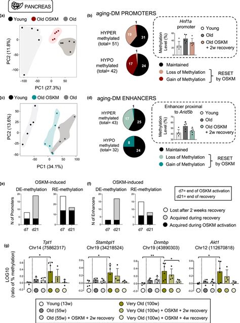 Transient OSKM Reprogramming Partially Rejuvenates The Methylation