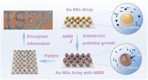 用于高分辨率加密信息的等离子体金银多维二聚体阵列的反电势合成nano Letters X Mol